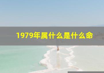 1979年属什么是什么命