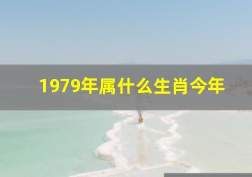 1979年属什么生肖今年