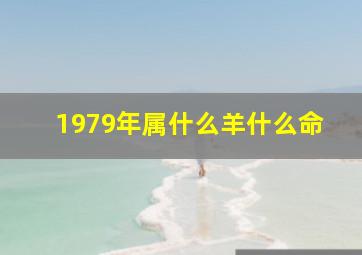 1979年属什么羊什么命