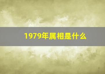 1979年属相是什么