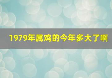 1979年属鸡的今年多大了啊