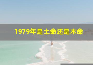 1979年是土命还是木命