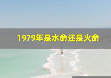 1979年是水命还是火命