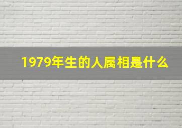 1979年生的人属相是什么