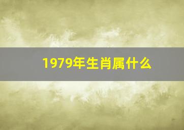 1979年生肖属什么