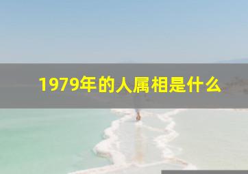 1979年的人属相是什么