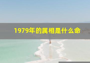 1979年的属相是什么命