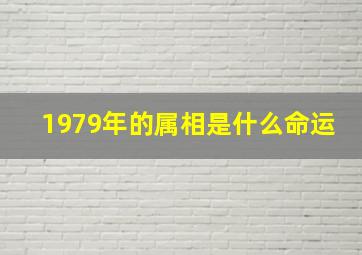 1979年的属相是什么命运