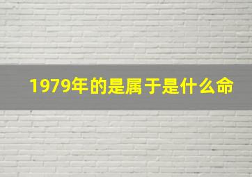 1979年的是属于是什么命