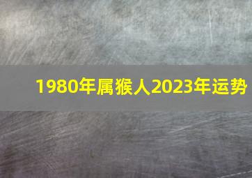 1980年属猴人2023年运势