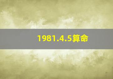 1981.4.5算命