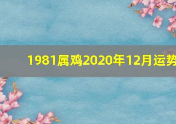 1981属鸡2020年12月运势