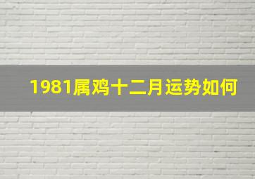 1981属鸡十二月运势如何