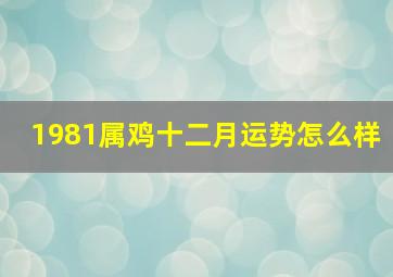 1981属鸡十二月运势怎么样