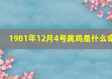 1981年12月4号属鸡是什么命