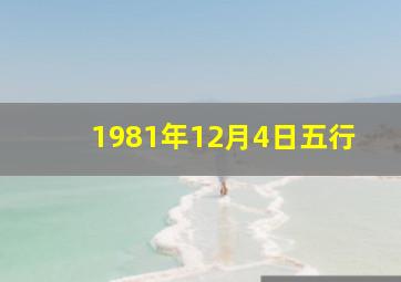 1981年12月4日五行