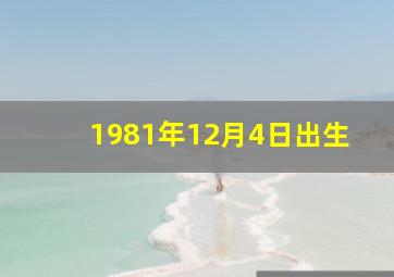 1981年12月4日出生