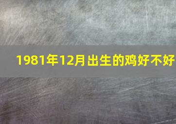 1981年12月出生的鸡好不好