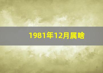 1981年12月属啥