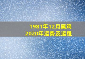 1981年12月属鸡2020年运势及运程