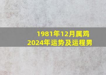 1981年12月属鸡2024年运势及运程男