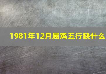 1981年12月属鸡五行缺什么