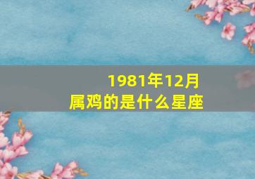 1981年12月属鸡的是什么星座