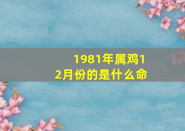 1981年属鸡12月份的是什么命