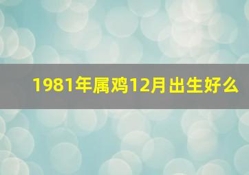 1981年属鸡12月出生好么