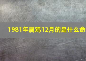 1981年属鸡12月的是什么命