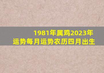 1981年属鸡2023年运势每月运势农历四月出生