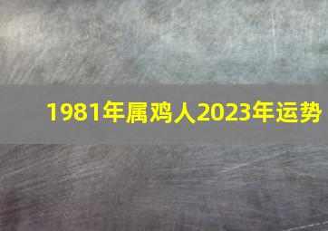 1981年属鸡人2023年运势