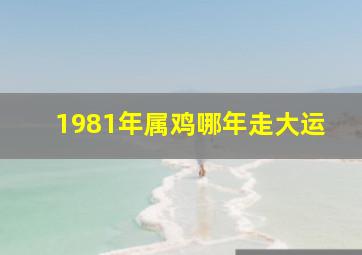 1981年属鸡哪年走大运