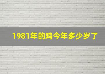 1981年的鸡今年多少岁了