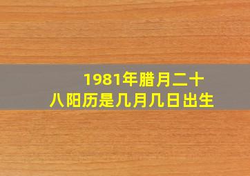 1981年腊月二十八阳历是几月几日出生