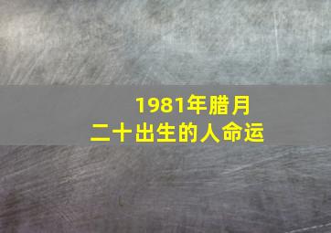 1981年腊月二十出生的人命运