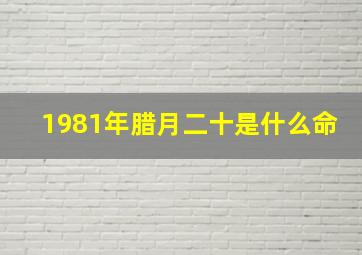 1981年腊月二十是什么命