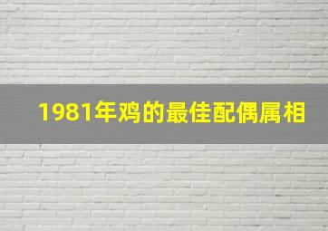 1981年鸡的最佳配偶属相