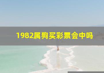 1982属狗买彩票会中吗