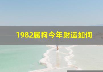 1982属狗今年财运如何