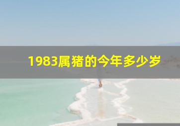 1983属猪的今年多少岁