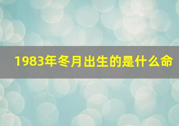 1983年冬月出生的是什么命