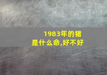 1983年的猪是什么命,好不好