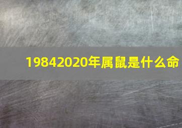 19842020年属鼠是什么命