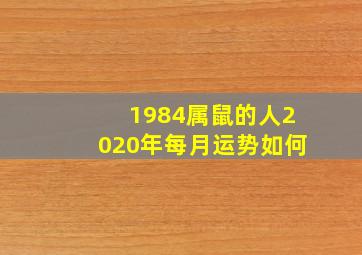 1984属鼠的人2020年每月运势如何