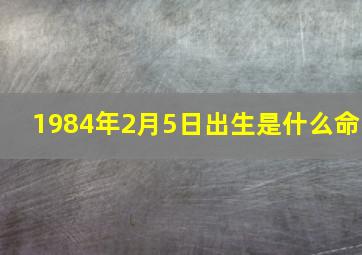 1984年2月5日出生是什么命