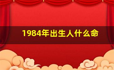 1984年出生人什么命