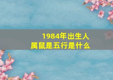 1984年出生人属鼠是五行是什么