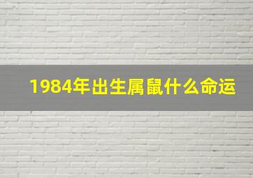 1984年出生属鼠什么命运