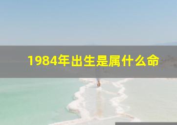 1984年出生是属什么命